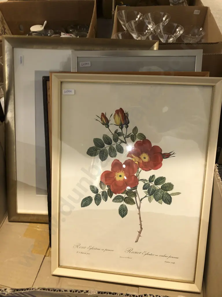 Box of Assorted Framed Works Image 1++
