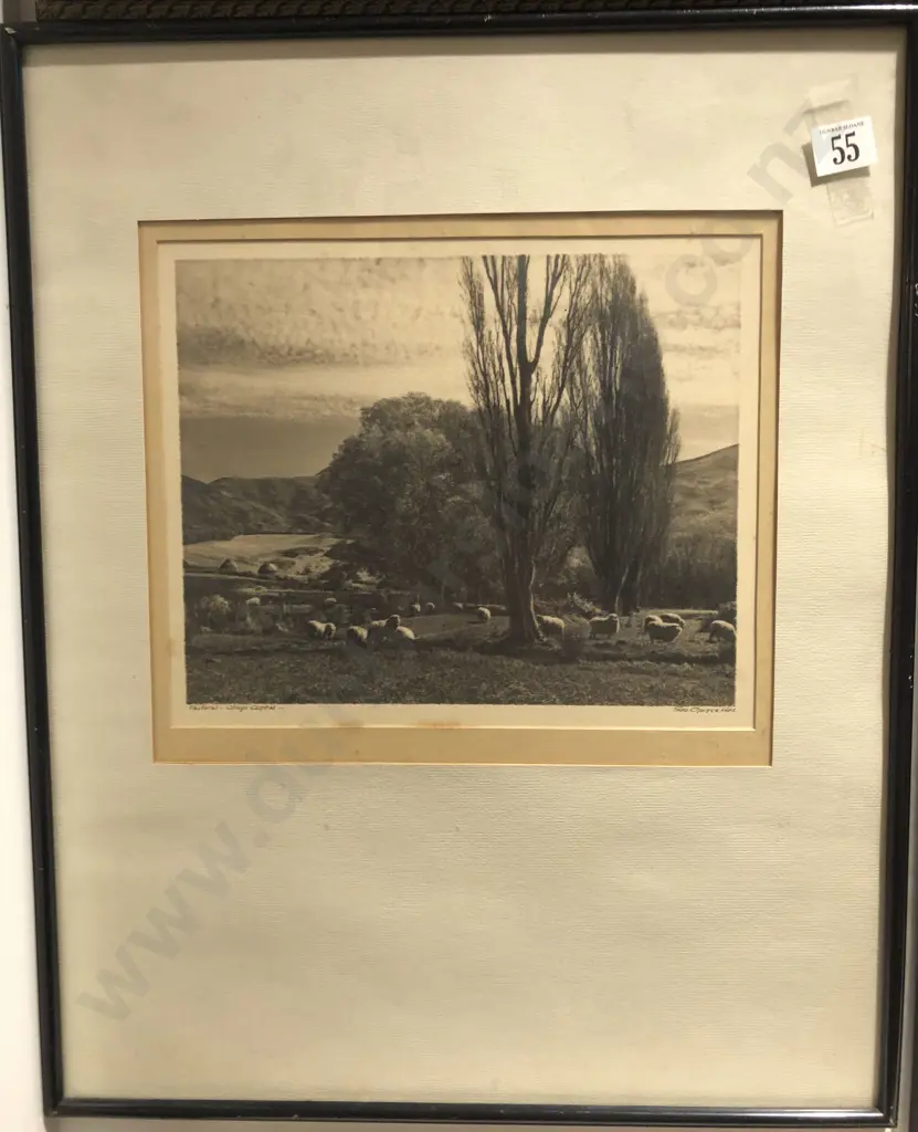George Chance - Pastoral Otago Central Image 1++
