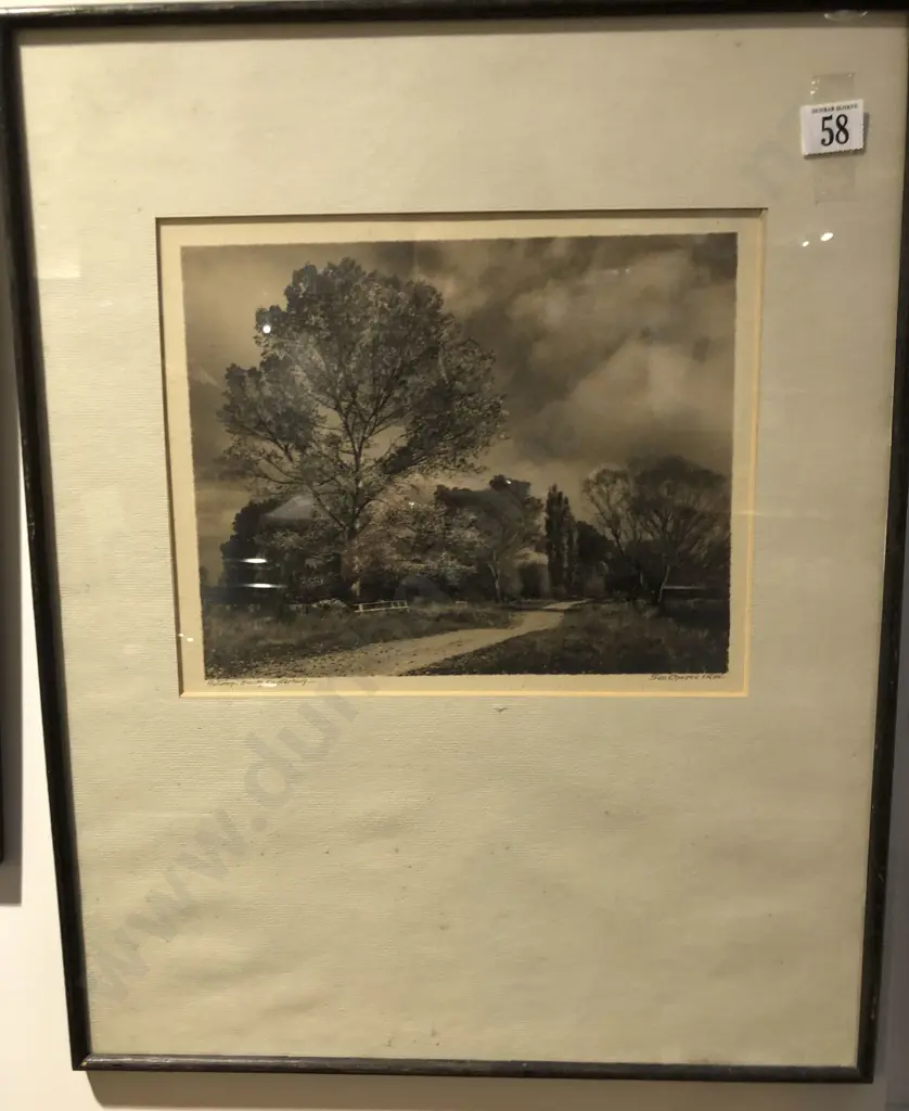 George Chance - Autumn South Canterbury Image 1++