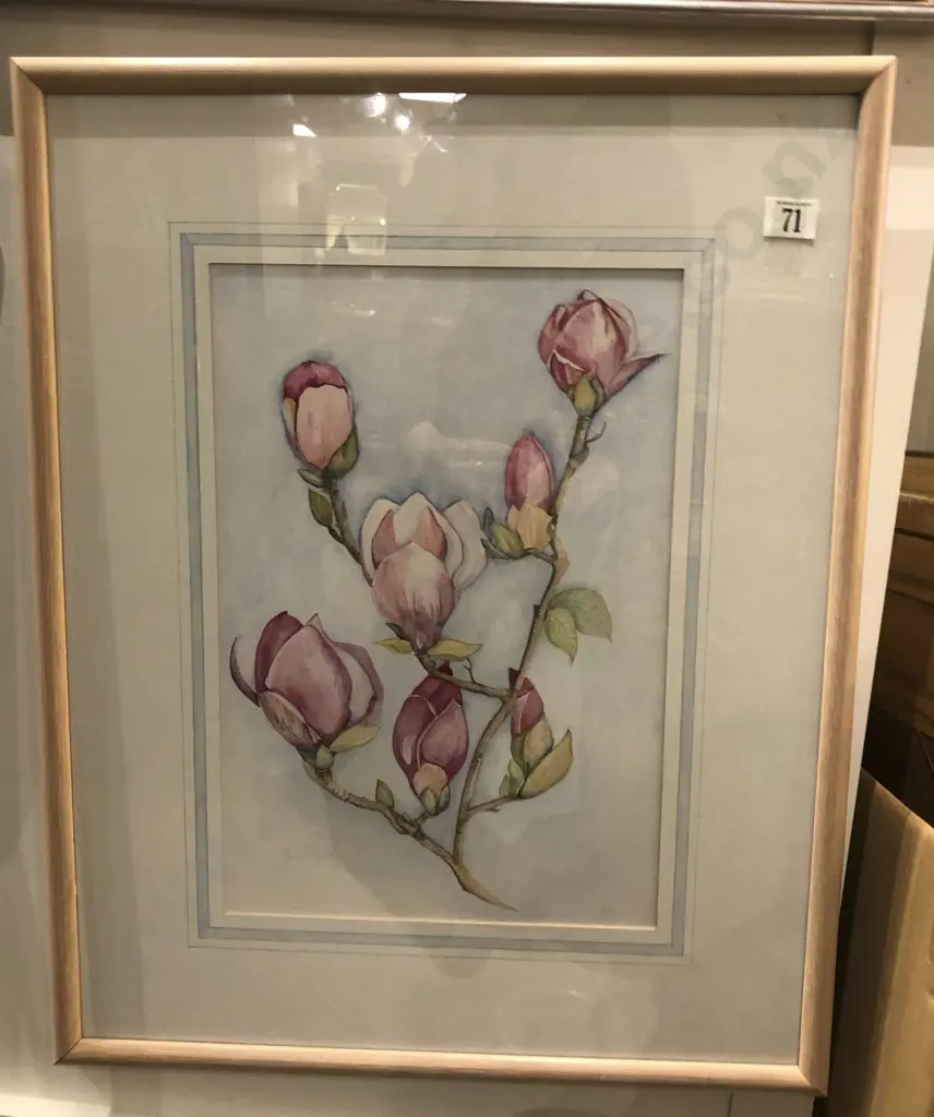 J. Kelly - Magnolia Cutting Image 1++