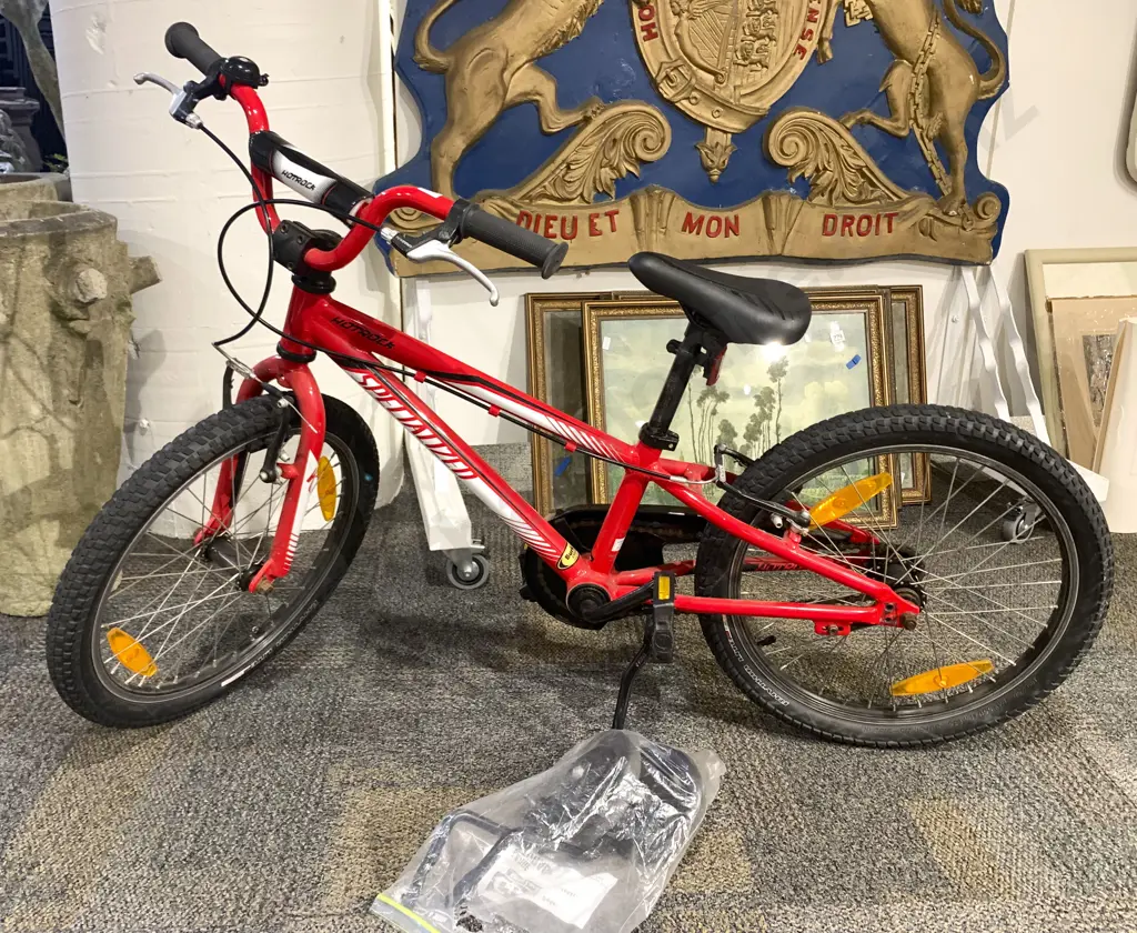 Hotrod Mountain Bike with Stabilizers Image 1++