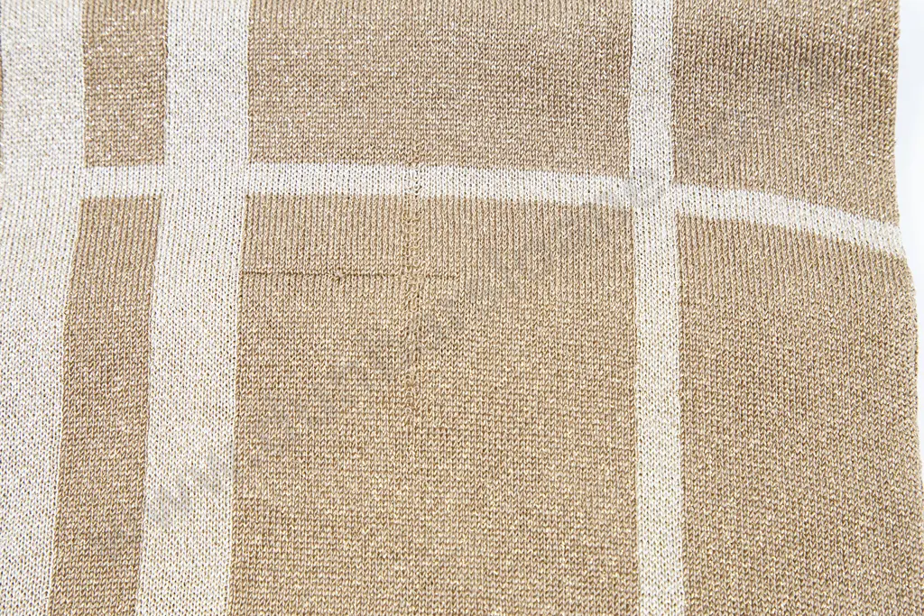 Burberry Limited Edition Plaid Print Scarf Image 1++