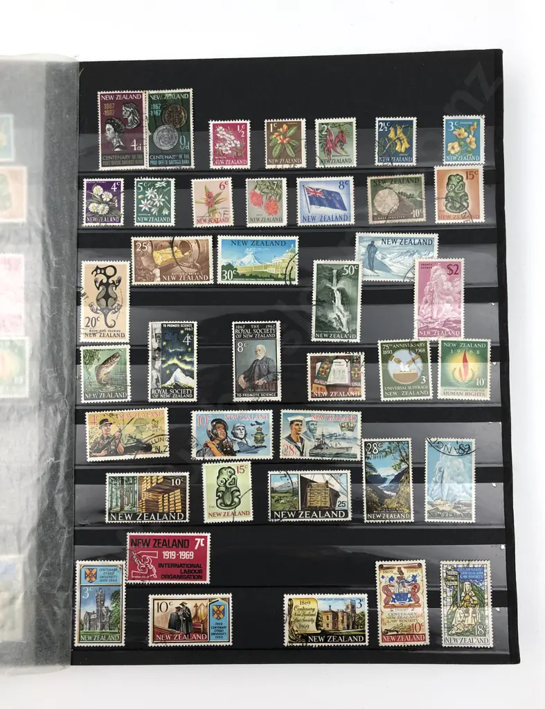 NZ Stock Book Album Image 1++