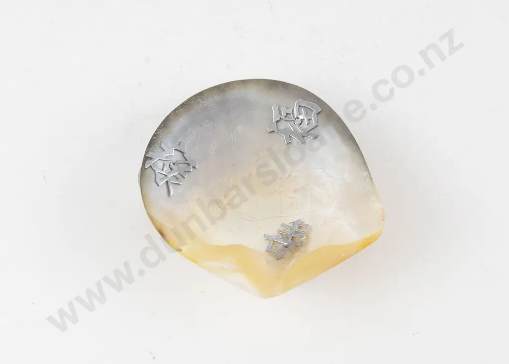 Vintage MOP Shell Image 1++