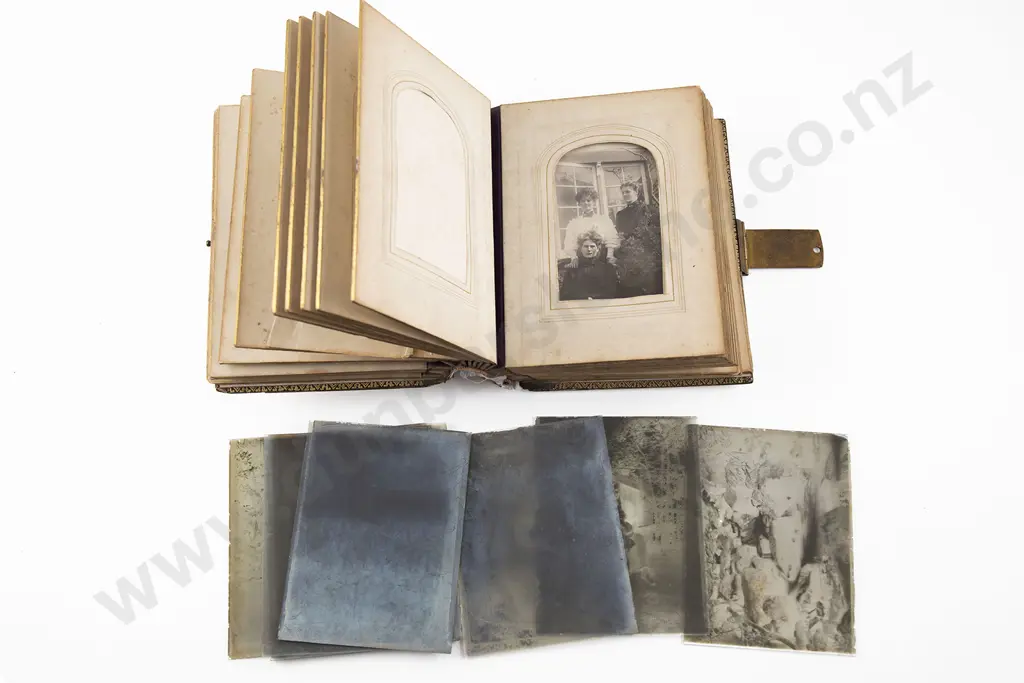 Victorian MOP & Tortoise Shell Photo Album Image 1++