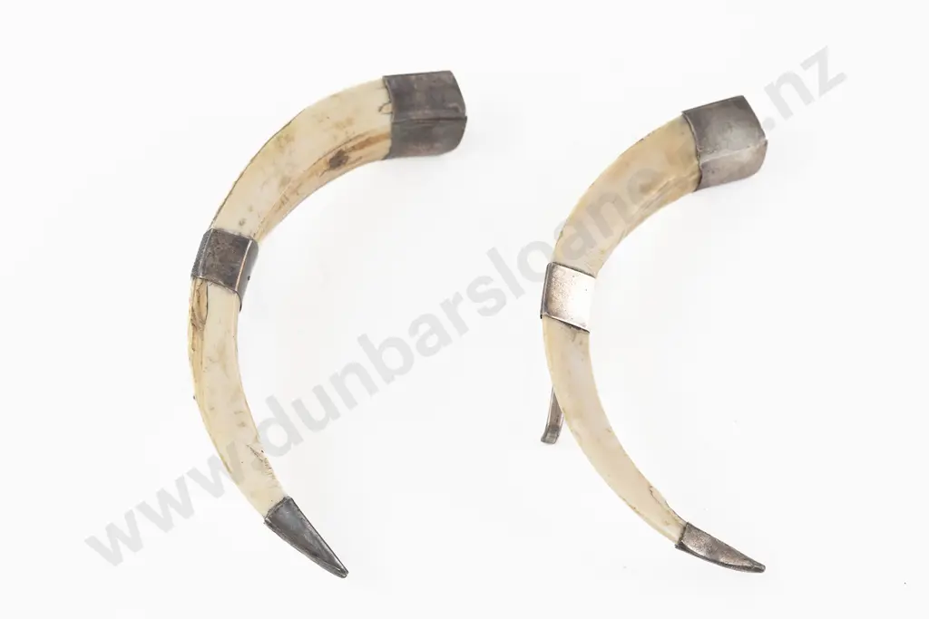 Pair NZ S/S Mounted Boar Tusk Knife Rests Image 1++