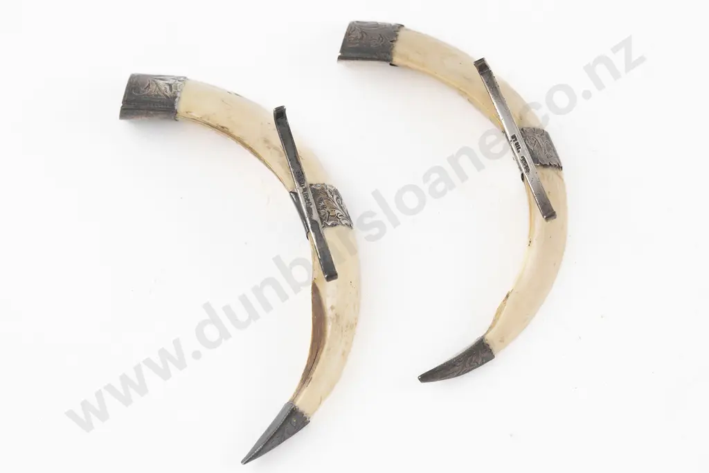 Pair NZ S/S Mounted Boar Tusk Knife Rests Image 1++