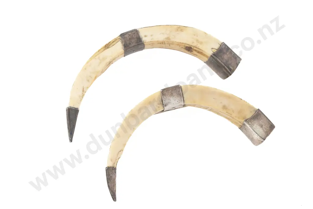 Pair NZ S/S Mounted Boar Tusk Knife Rests Image 1++