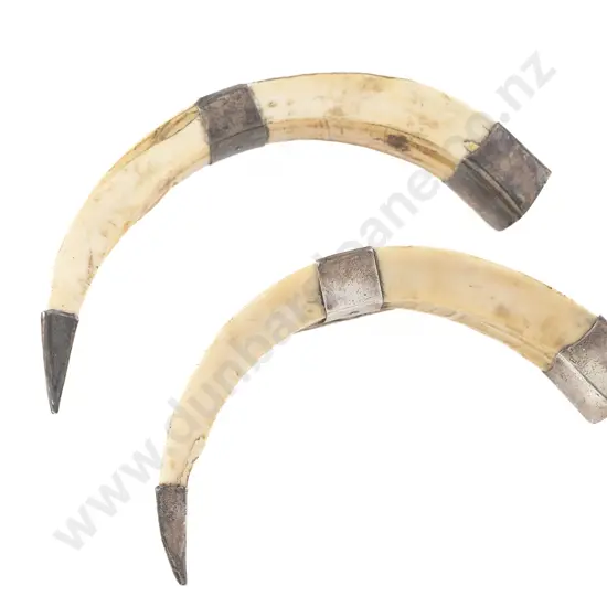 Pair NZ S/S Mounted Boar Tusk Knife Rests