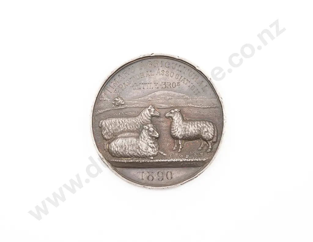 Timaru Agricultural & Pastoral Association Stock Medal Image 1++