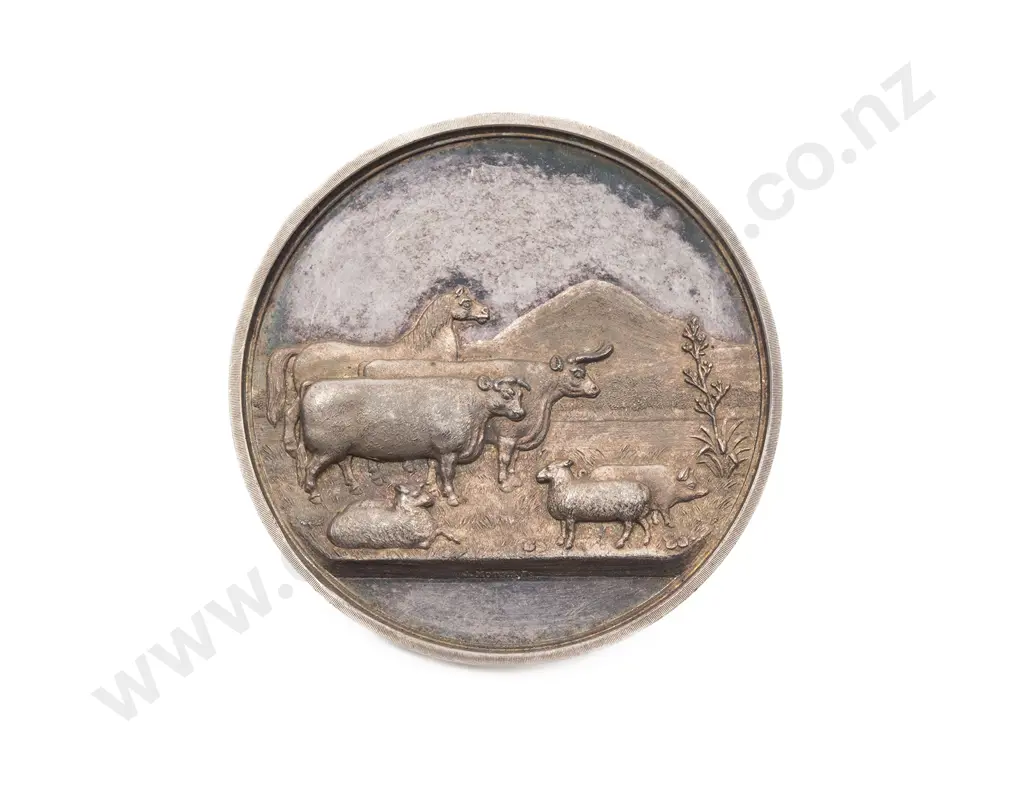 Northern Agricultural & Pastoral Association Otago Instituted 1863 Medal Image 1++