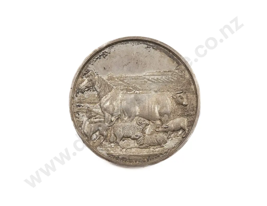 Southland Metropolitan Agricultural & Pastoral Association Medal Image 1++