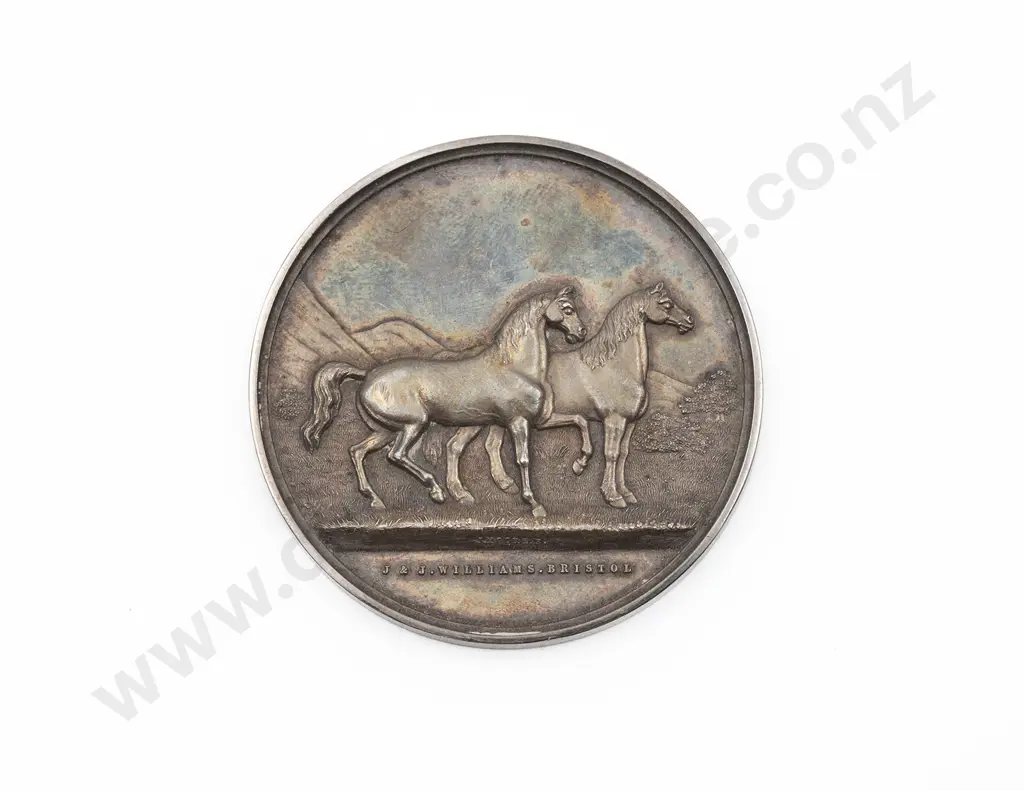 Southland Agricultural & Pastoral Association Stock Medal Image 1++