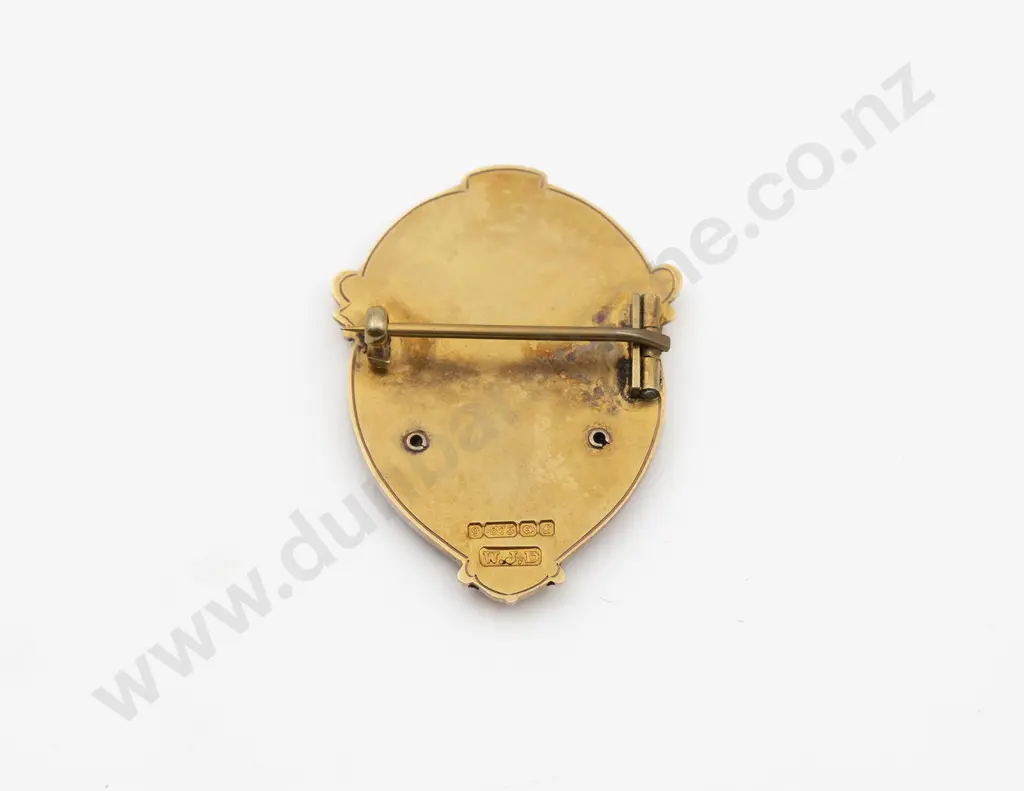 NZ Historical 9ct and Enamel NZ v Wales Rugby Brooch Image 1++