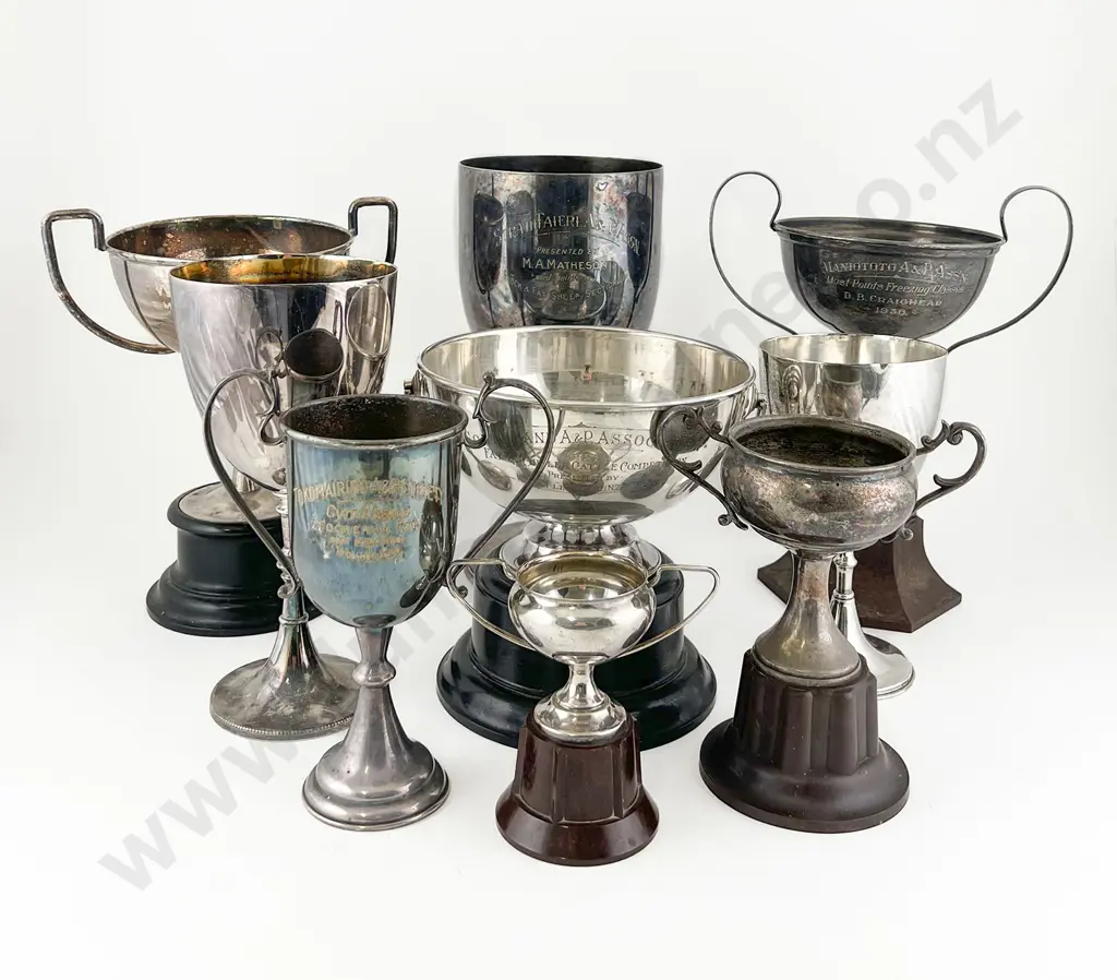 Nine Various NZ S/Plate A & P Prize Trophies Image 1++