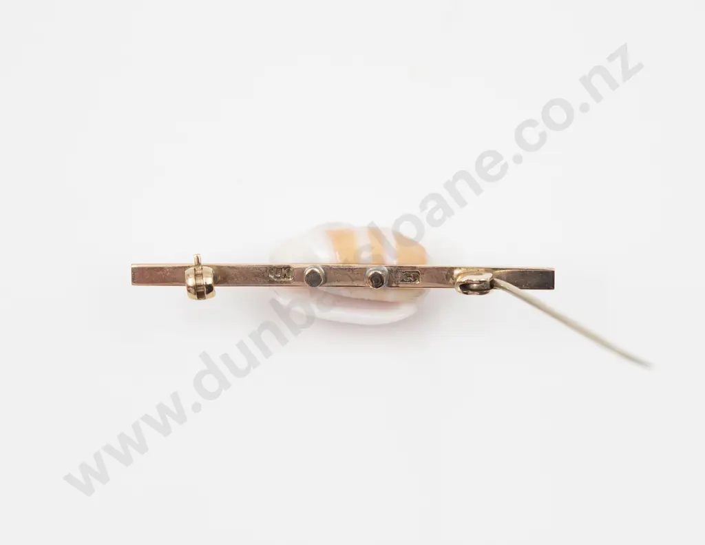 NZ Colonial 9ct Shell Mounted Bar Brooch Image 1++