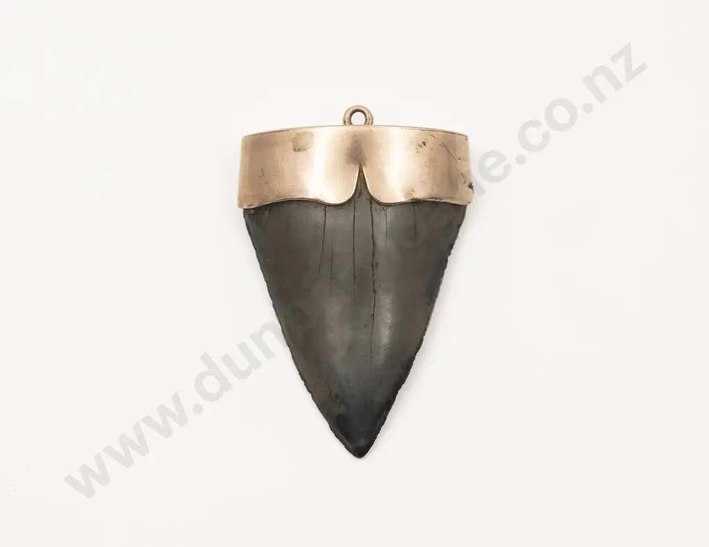 NZ Colonial 9ct Mounted Fossil Shark Tooth Pendant Image 1++