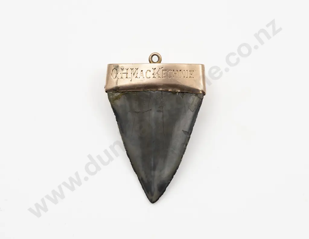 NZ Colonial 9ct Mounted Fossil Shark Tooth Pendant Image 1++