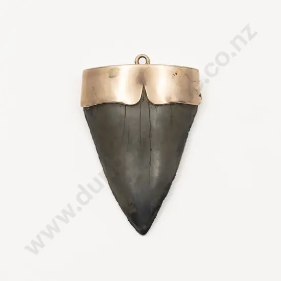 NZ Colonial 9ct Mounted Fossil Shark Tooth Pendant