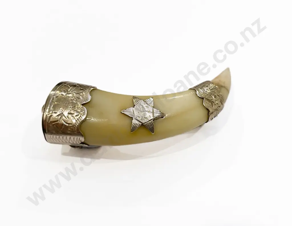 NZ Colonial 9ct Mounted Tusk Brooch Image 1++