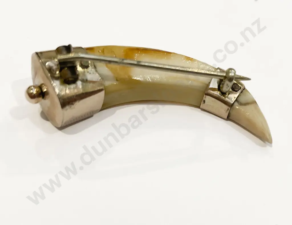 NZ Colonial 9ct Mounted Tusk Brooch Image 1++