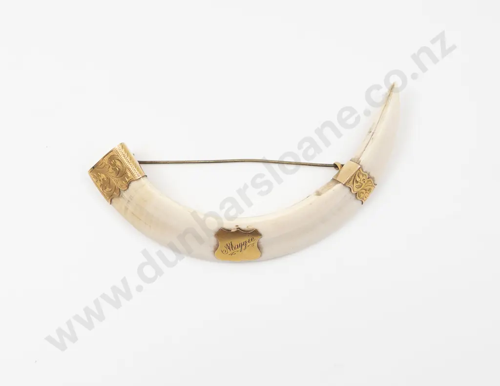 NZ Colonial 10ct Mounted Boar Tusk Brooch Image 1++