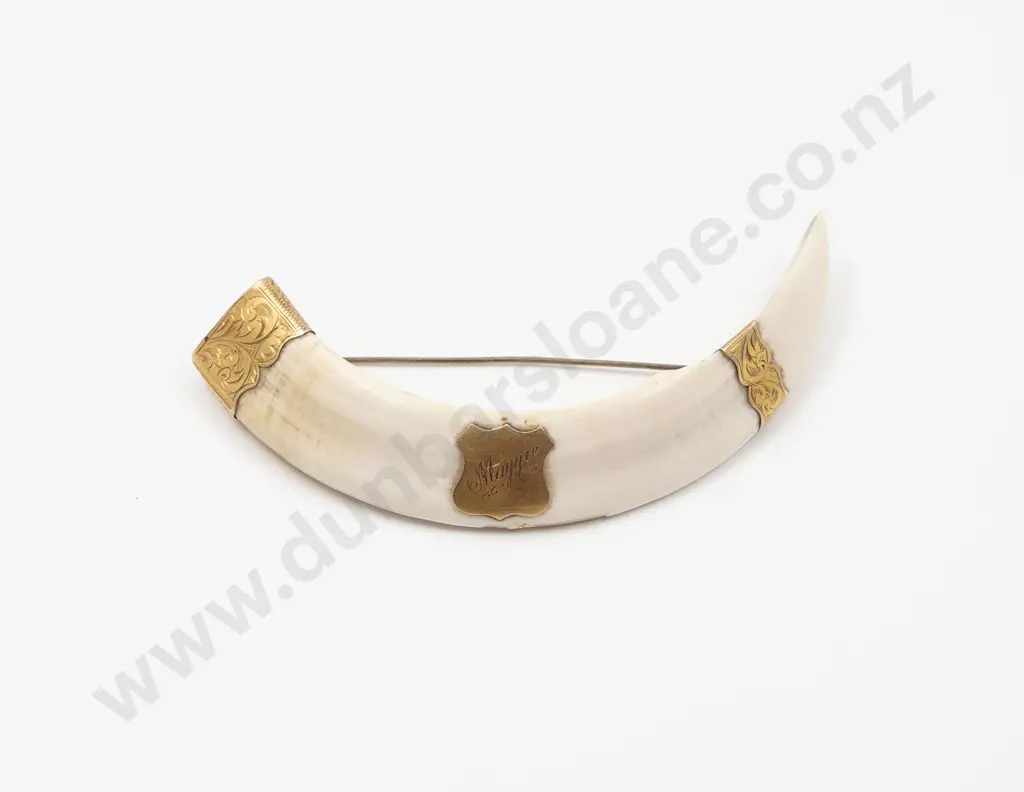 NZ Colonial 10ct Mounted Boar Tusk Brooch Image 1++