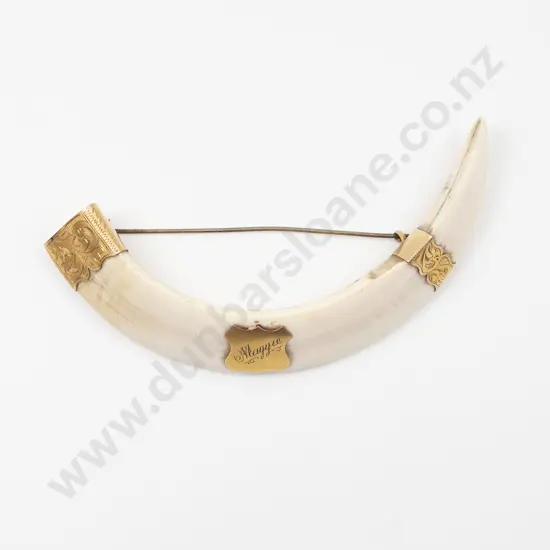NZ Colonial 10ct Mounted Boar Tusk Brooch