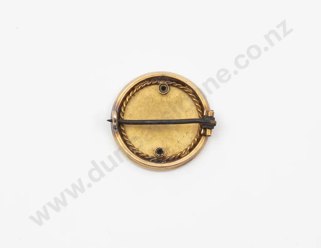 9ct Gold and Enamel Australian Coat of Arms Lapel Brooch Image 1++