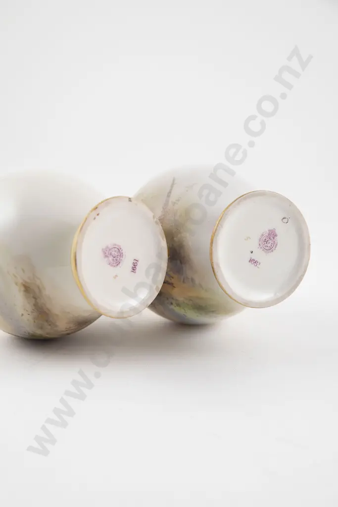 Pair Royal Worcester Specimen Vases Image 1++