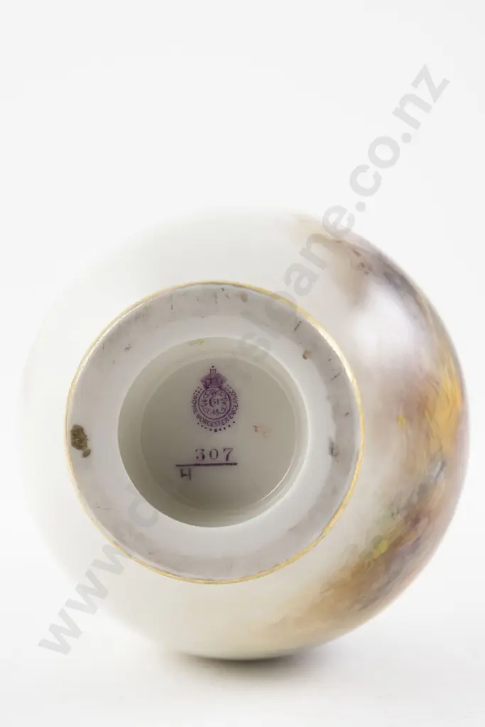Royal Worcester Specimen Vase Image 1++