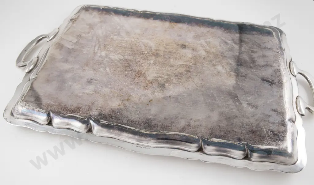 Modern S/S Two Handled Banquet Tray Image 1++