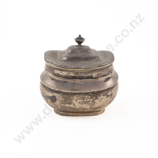 Geo V S/S Tea Caddy