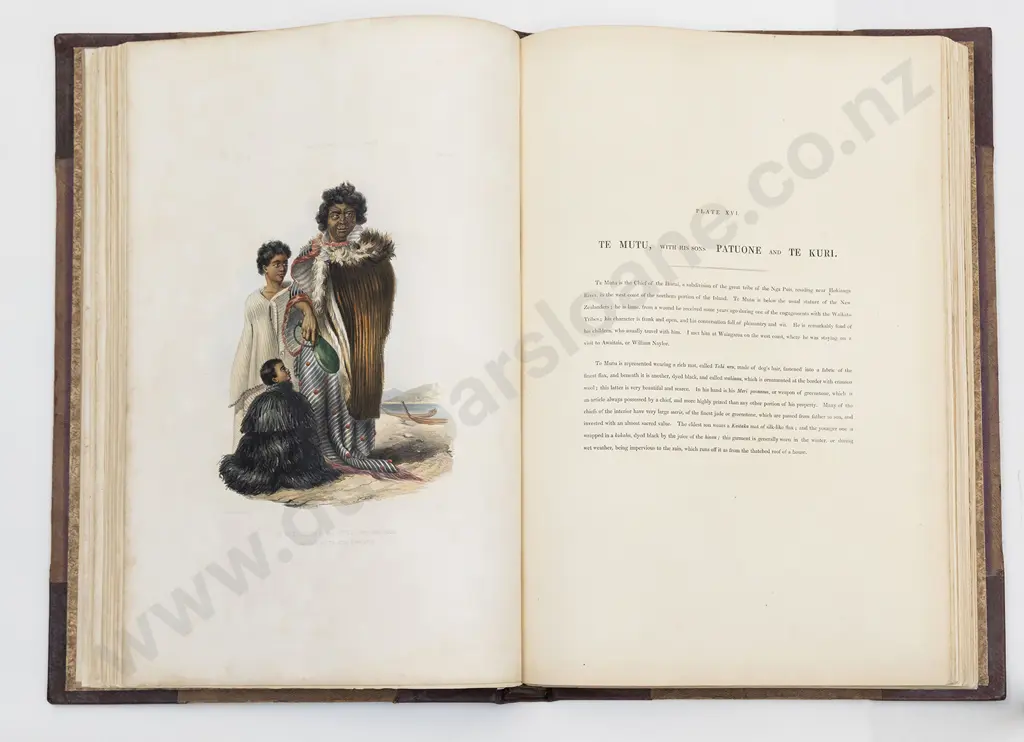 Angas George French - The New Zealanders Image 1++