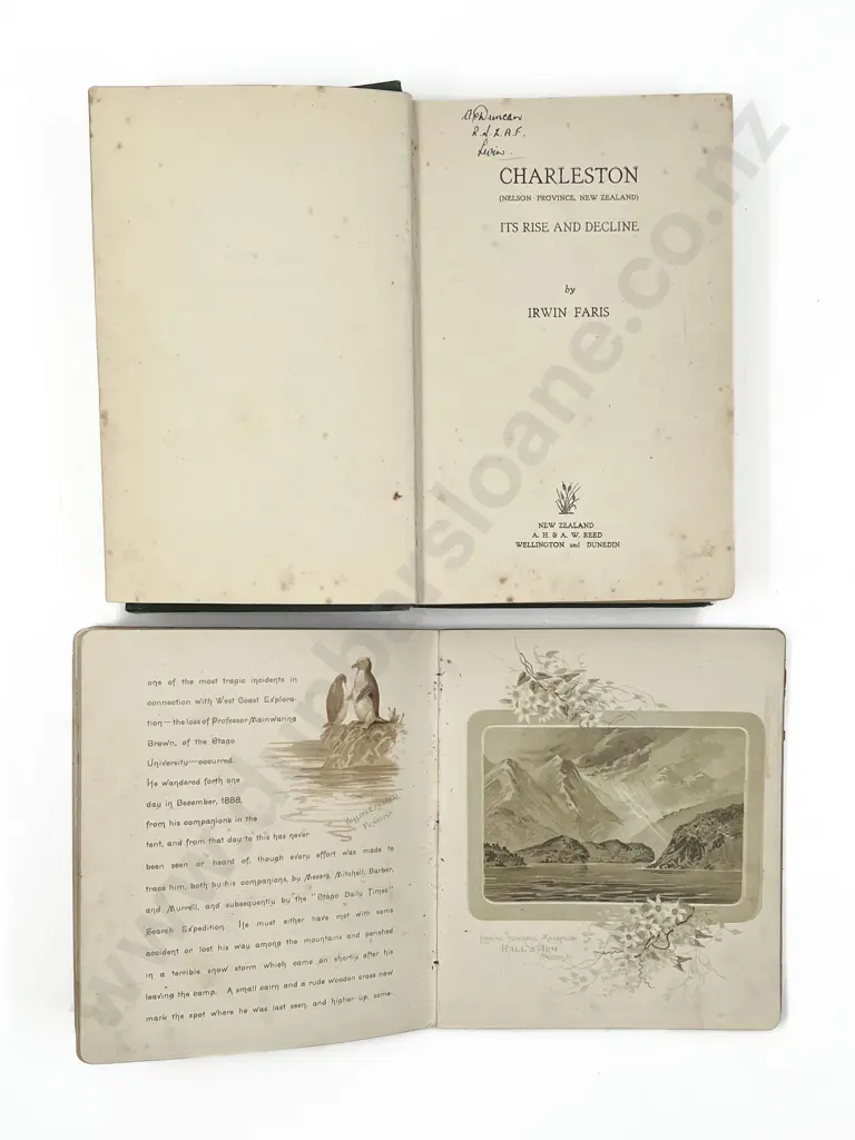 Faris Irwin - Charleston (Nelson Province New Zealand) Image 1++