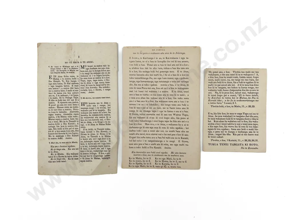 Tukua Tenei Tangata Ki Roto (a A Ticket) Image 1++