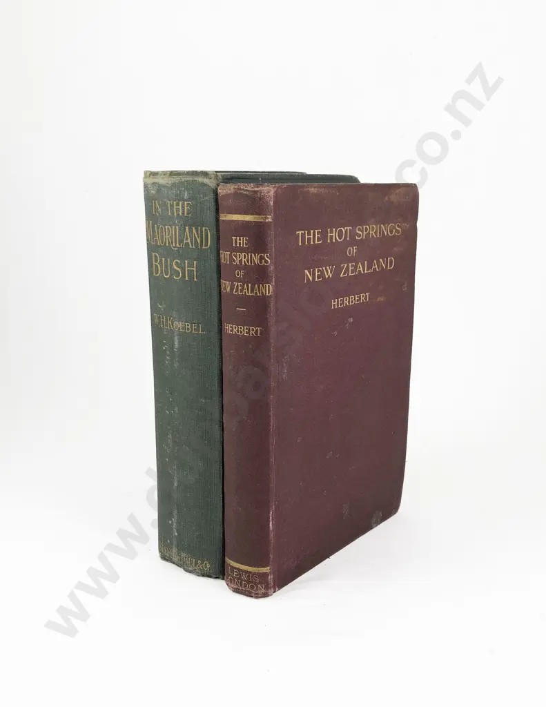 Koebel W H - In The Maoriland Bush Image 1++