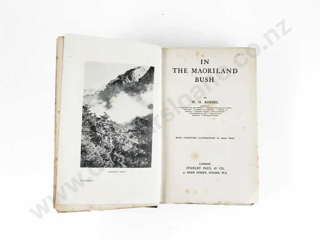 Koebel W H - In The Maoriland Bush Image 1++