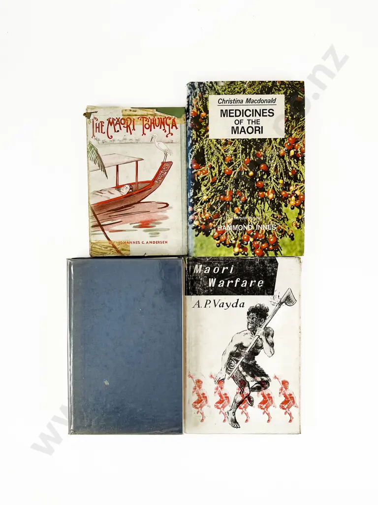 Eight Books on Maori Warfare, Medicine, and Funerary Customs Image 1++