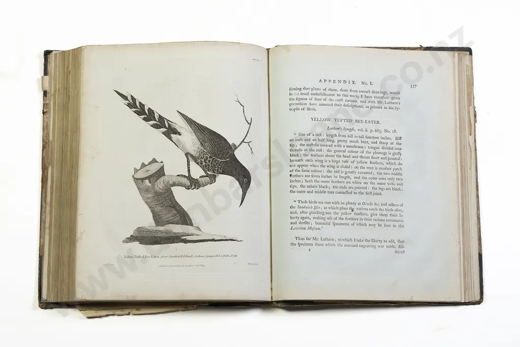 Nixon Captain George - A Voyage Round The World Image 1++