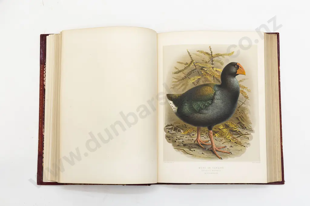 Buller Sir Walter Lawry - A History of the Birds of New Zealand (2 Volumes) Image 1++