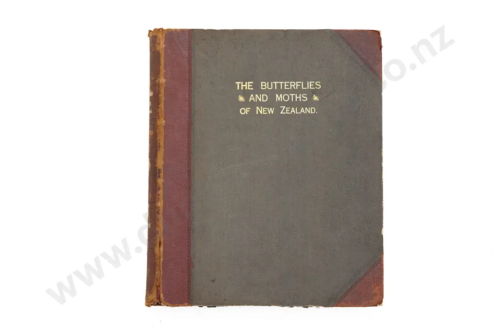 Hudson G V - The Butterflies And Moths Of New Zealand Image 1++