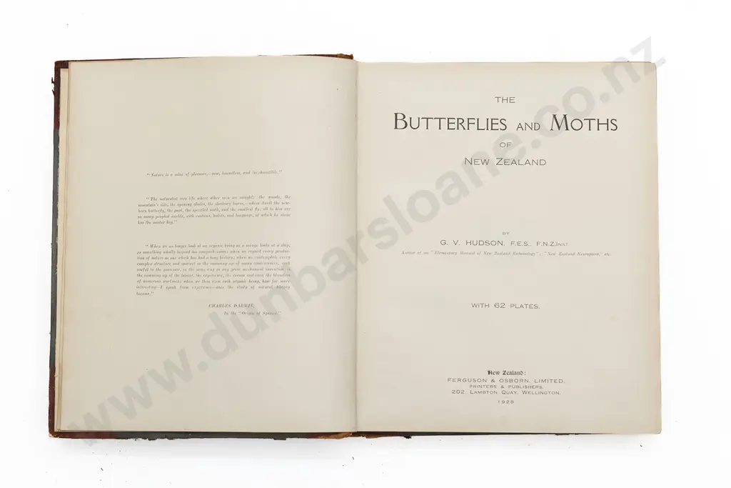 Hudson G V - The Butterflies And Moths Of New Zealand Image 1++