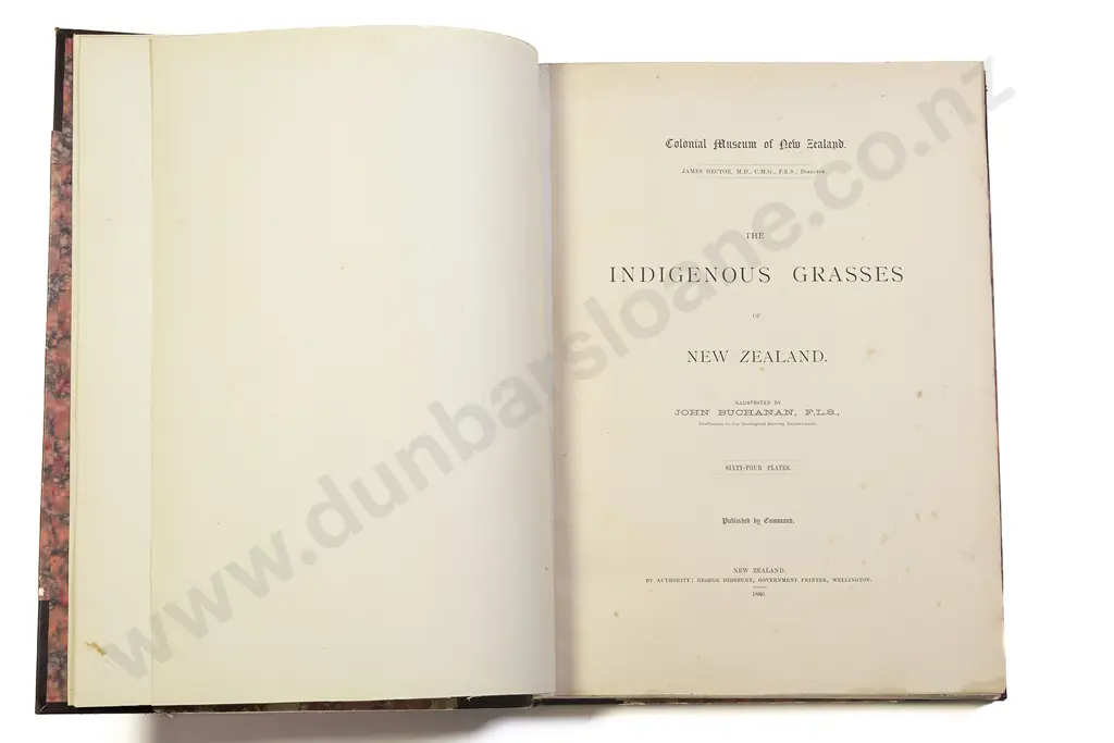 Buchanan John - The Indigenous Grasses of New Zealand Image 1++