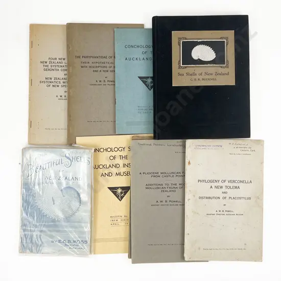 Collection Of Books & Booklets On Shells