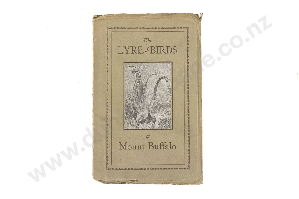 Manfield Alice - The LYRE-BIRDS of Mount Buffalo Image 1++