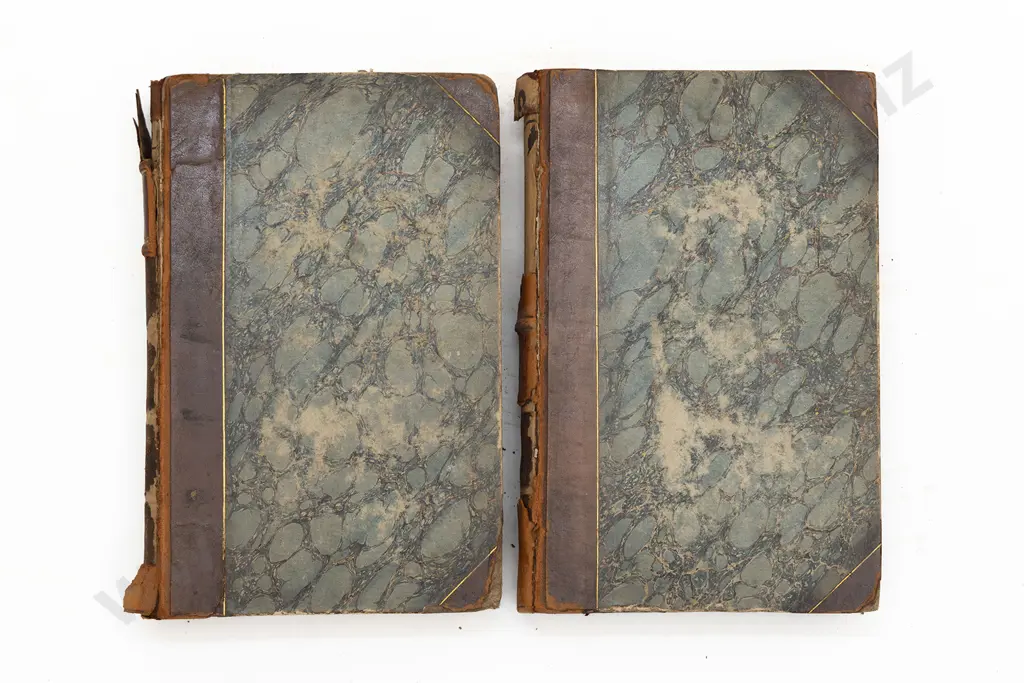 Ellis William - Polynesian Researches (2 Volumes) Image 1++