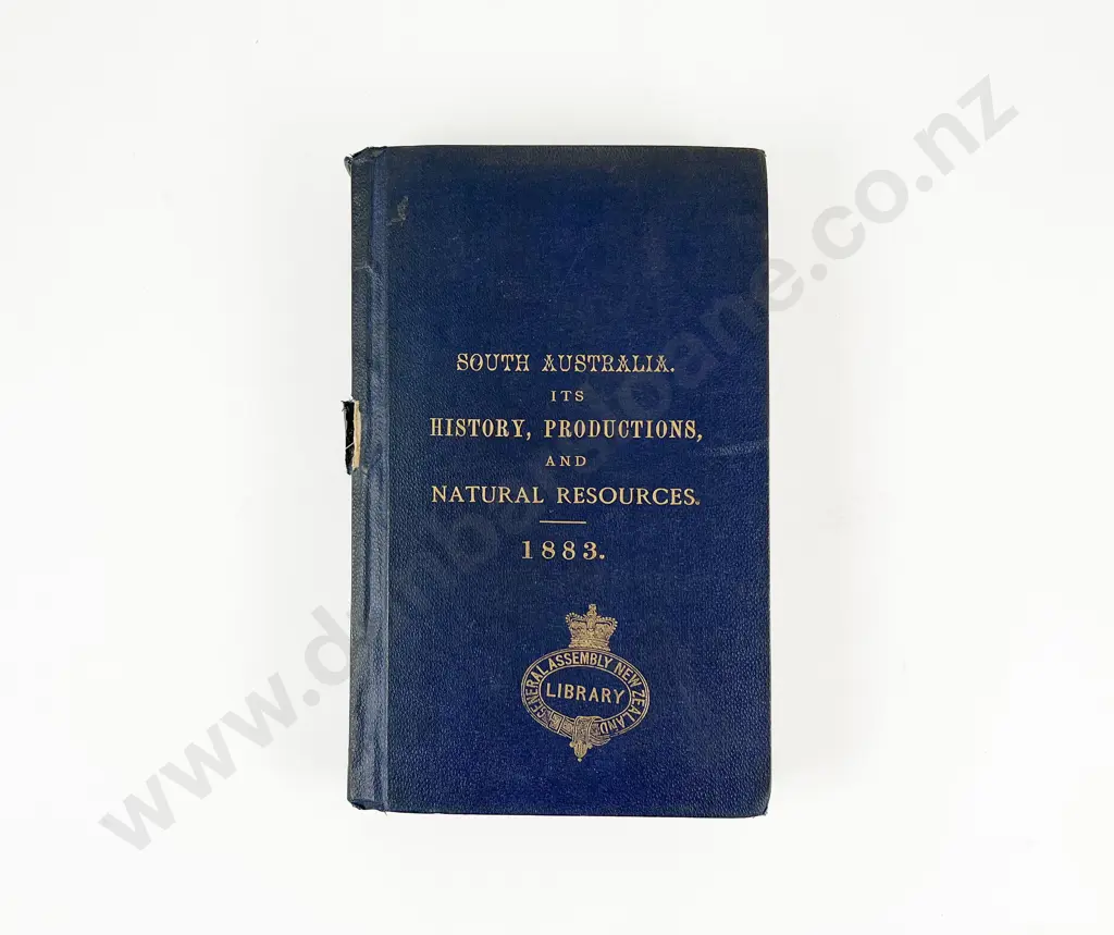 Stow J P - South Australia its History Productions and Natural Resources Image 1++