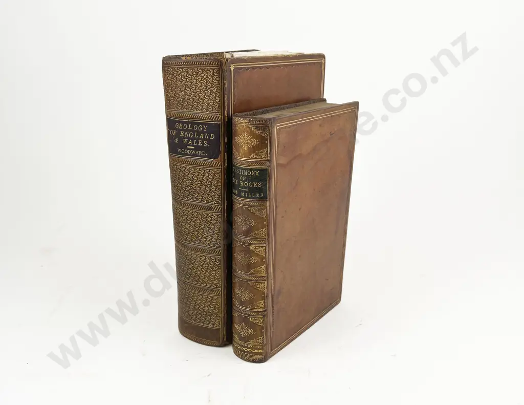2 Victorian Leather bound Natural History Volumes Image 1++
