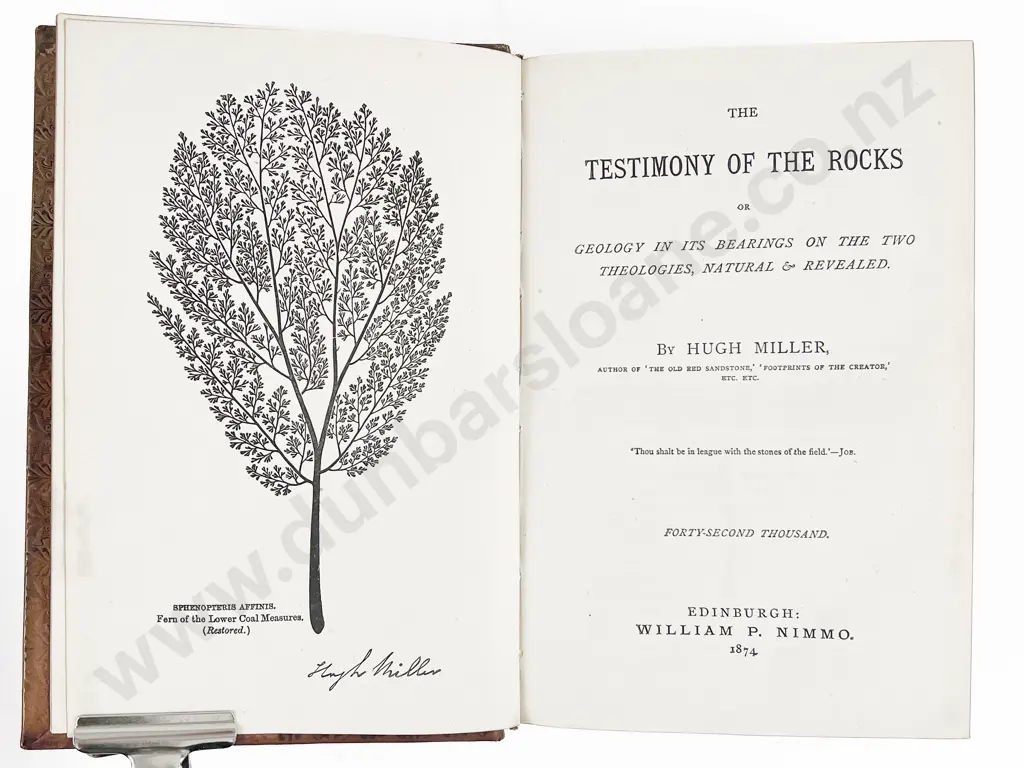 2 Victorian Leather bound Natural History Volumes Image 1++